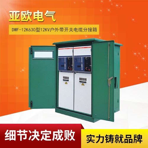 DWF-12k630 12Kv outdoor with switch cable distribution box